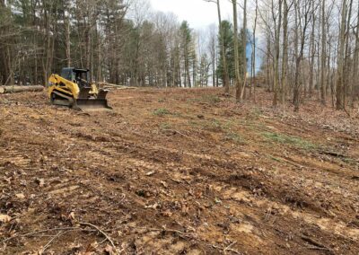 Land clearing equipment removing trees and brush