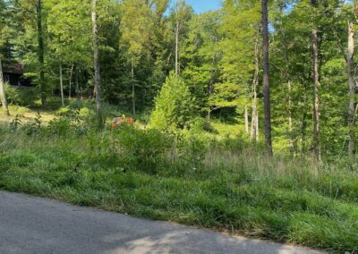 Land clearing equipment removing trees and brush