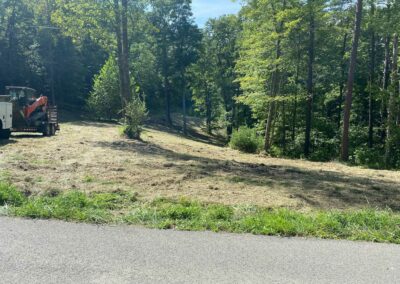 Land clearing equipment removing trees and brush