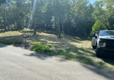 Land clearing team using heavy machinery