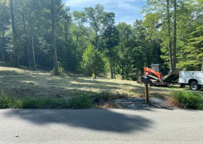 Clearing overgrown vegetation with a bulldozer
